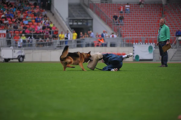 SEP 07, 2014 Nurnberg Working ability test on biggest german she — Stock Photo, Image