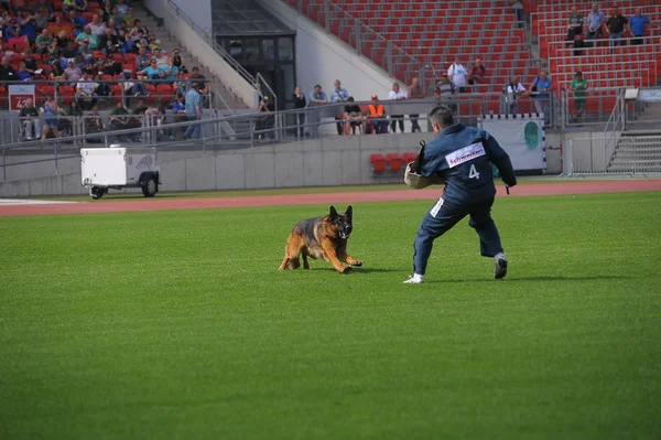 Září 07, 2014 Nurnberg pracovní schopnost test na největší německé ona — Stock fotografie