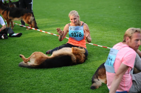 SEP 07, 2014 Nurnberg Biggest german shepherd dog show in German — Stock Photo, Image