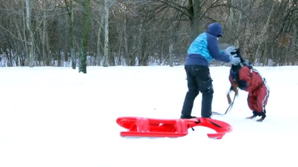 Kid playing with dog — Stock Video