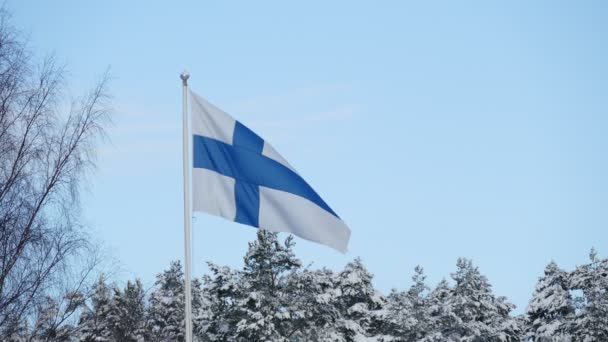 Bandera de Finlandia ondeando en el cielo Fondo — Vídeos de Stock