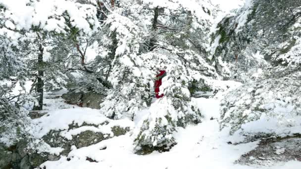 Взрослый человек в красной ходьбе по горному лесу — стоковое видео