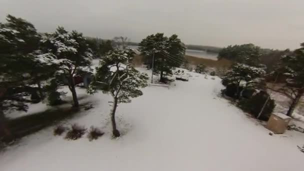 Waldlandschaft auf der Insel Houtskari — Stockvideo