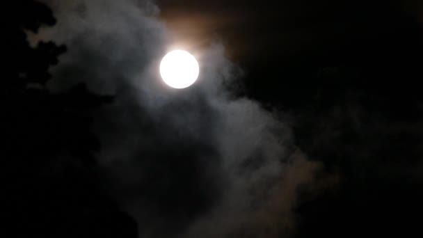 Moon in the night sky over running clouds — Stock Video