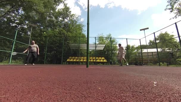 Twee mannen spelen badminton op Hof — Stockvideo