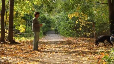 köpek park ile oynarken aile