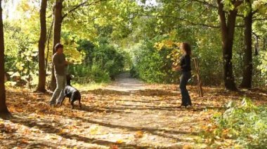 köpek park ile oynarken aile