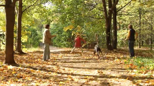 Família brincando com cachorro no parque — Vídeo de Stock