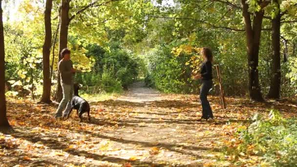 Familie som leker med en hund i parken – stockvideo