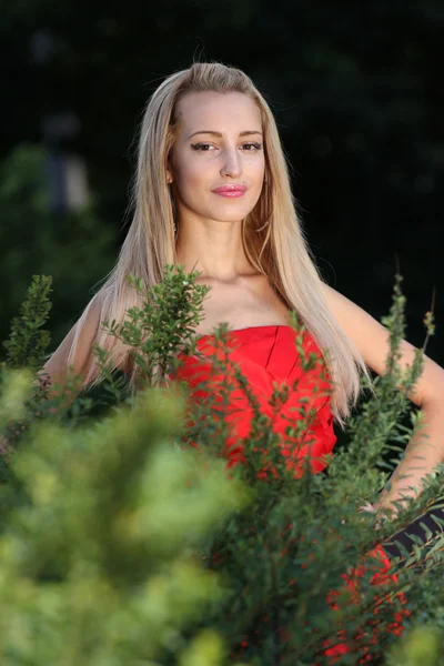 Lady in red outdoors — Stock Photo, Image