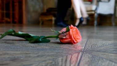 İnsanlar arka plan dans pistinde kırmızı gül