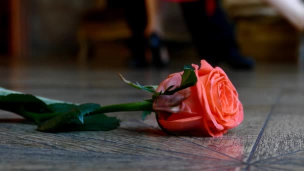 Rosa roja en la pista de baile de fondo de la gente — Vídeos de Stock