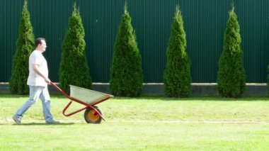 El arabası yürüyüş soldan sağa doğru adamla