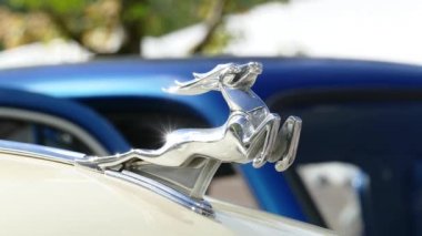 Eski çekim Rus araba Volga kaputunun üzerinde geyik