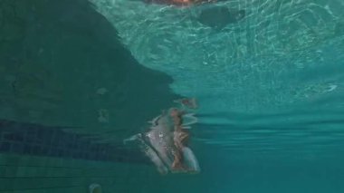 Kadın bikini güzellik suyu mavi yaz insanı genç yüzücü kadın yüzücü tatili