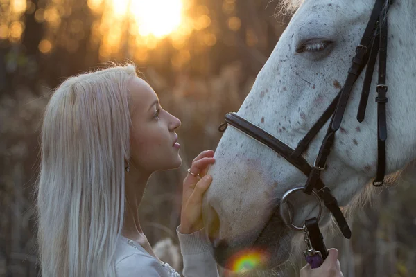 Blonde and white horse looking into each other's eyes — Stock Photo, Image