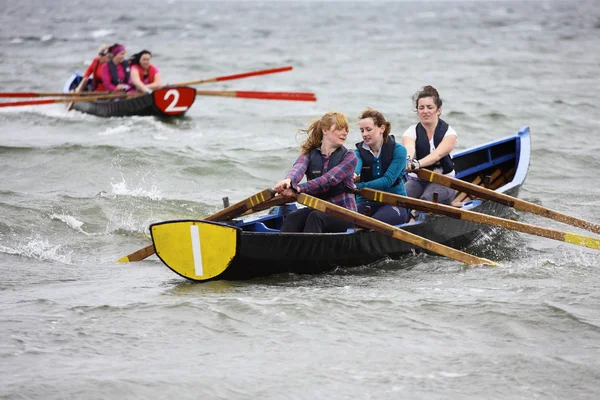 Tüm İrlanda currach yarış — Stok fotoğraf