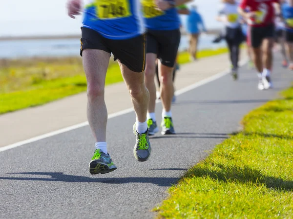 Corredores de maratón — Foto de Stock