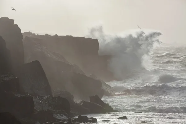 Storm in the ocean