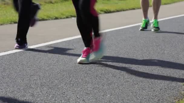 Marathon runners — Stock Video