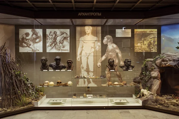 Москва, Россия - 24 февраля 2016 года: Государственный музей Дарвина — стоковое фото
