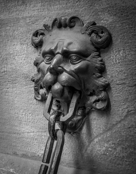 Doorknocker med chefen för lion — Stockfoto