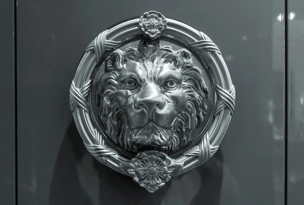 Tête de lion en métal sur la porte — Photo