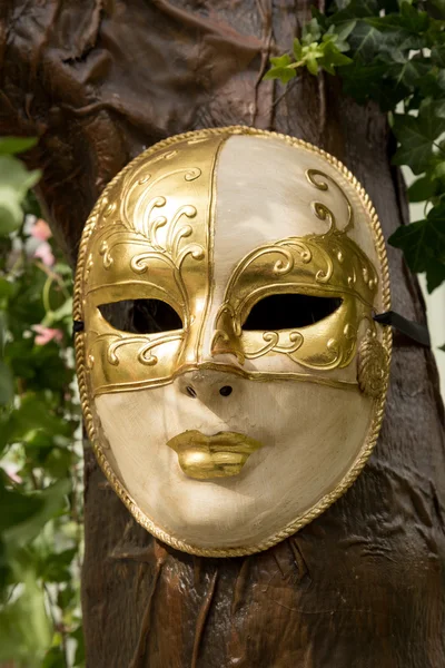 美しいエレガントなベネチアン マスク — ストック写真