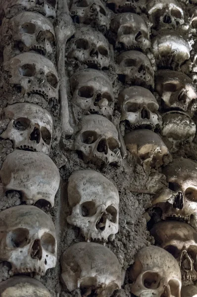 Kafatasları ve kemikleri dolu duvar — Stok fotoğraf