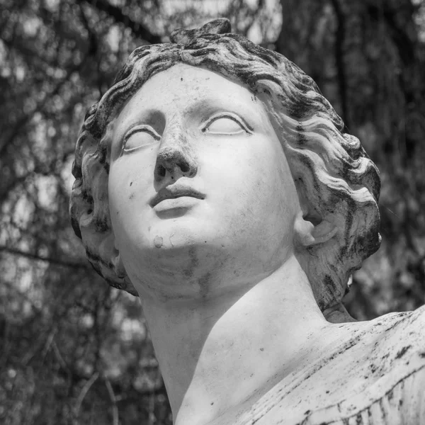 Head marble statue of woman in the park — Stock Photo, Image