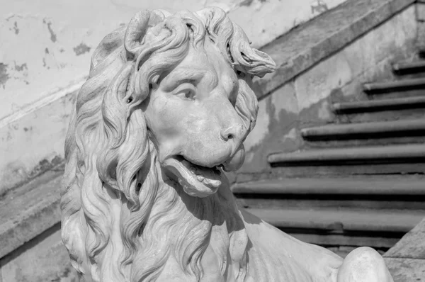 Aslan heykeli metal — Stok fotoğraf