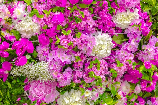 Blumenstrauß — Stockfoto