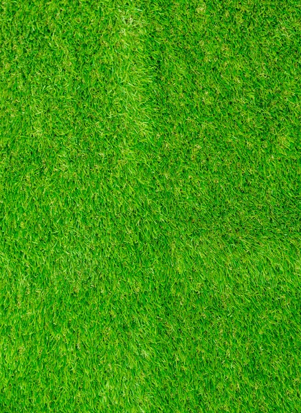 Iarbă verde textură din — Fotografie, imagine de stoc