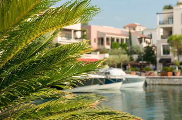 Palm Leaf and Blurred sea marina with boats — Stock Photo, Image