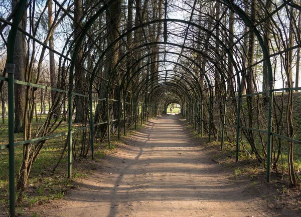 公園の風光明媚な人工円弧 — ストック写真