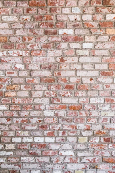 Eski rustik tuğla duvar dokusu ile beyaz boyalı — Stok fotoğraf