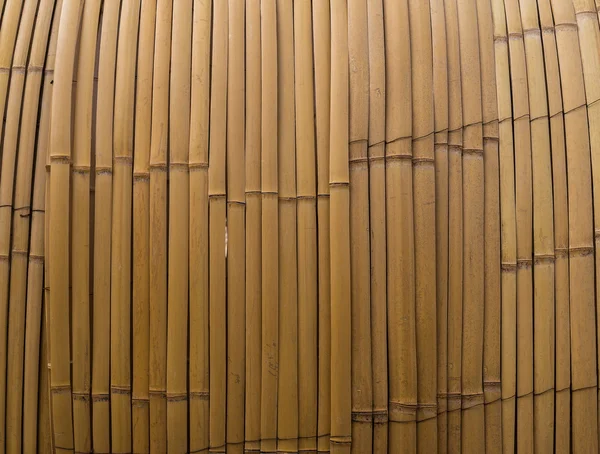 Bamboe hek achtergrond — Stockfoto