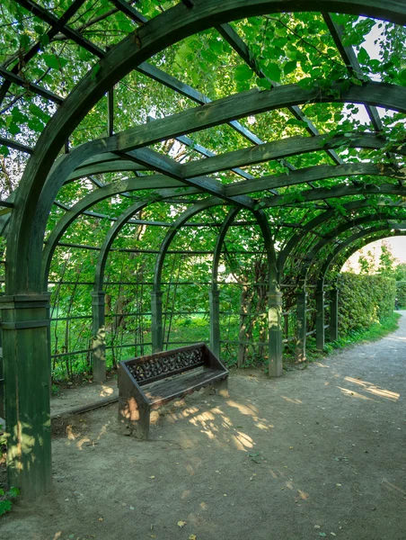 Panchina posta sotto l'arco di alberi nel parco — Foto Stock