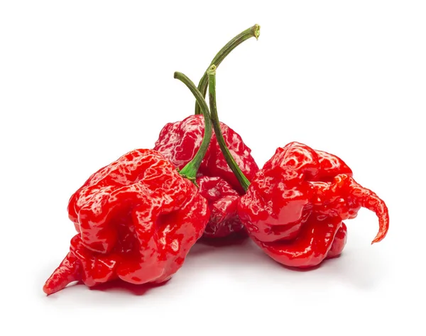 Carolina Reaper, a pimenta do chile mais quente Capsicum chinense, vagem madura inteira, isolada em fundo branco. Pimenta do chile superquente ou extremamente quente — Fotografia de Stock