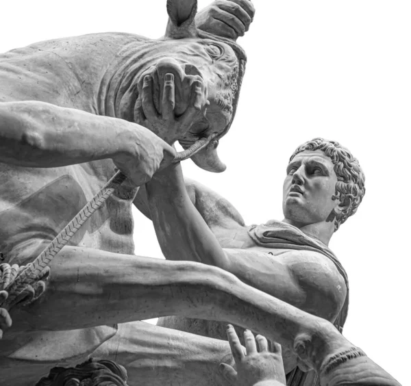 Hercules fighting the Cretan Bull or statue of the god Mithras killing a bull. Stone sculpture isolated on white background