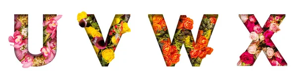 Floral letters. The letters U, V, W, X are made from colorful flower photos. A collection of wonderful flora letters for unique spring decorations and various creation ideas — Stock Photo, Image