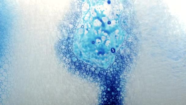 Όμορφες σταγόνες μελανιού διαλύονται στο νερό. Πολύχρωμο αφρό σαπουνιού με φούσκες φόντο. Αφηρημένη δομή, χρώμα πλήρωση μιας μάζας μικρών φυσαλίδων που σχηματίζονται σε υγρό. — Αρχείο Βίντεο