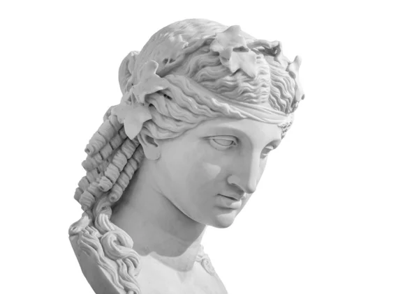 Gypsum αντίγραφο του αρχαίου αγάλματος Αφροδίτη κεφάλι απομονώνονται σε λευκό φόντο. Γυψοσανίδα γυναίκα γλυπτική πρόσωπο — Φωτογραφία Αρχείου