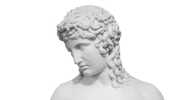 Gipsum kopie van het oude standbeeld Venus hoofd geïsoleerd op witte achtergrond. gips beeldhouwkunst vrouw gezicht — Stockfoto