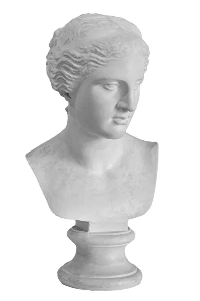 Gipsz másolata az ősi szobor Vénusz fejét elszigetelt fehér háttérrel. Gipsz szobor nő arc — Stock Fotó