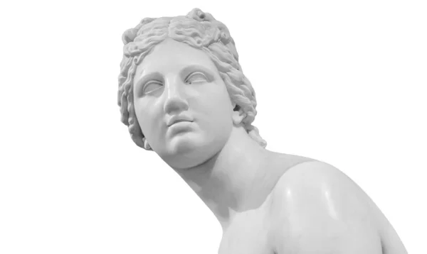 Copie en gypse de l'ancienne statue tête de Vénus isolée sur fond blanc. Plâtre sculpture femme visage — Photo