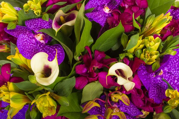 Abstracte achtergrond van bloemen. Close-up. — Stockfoto