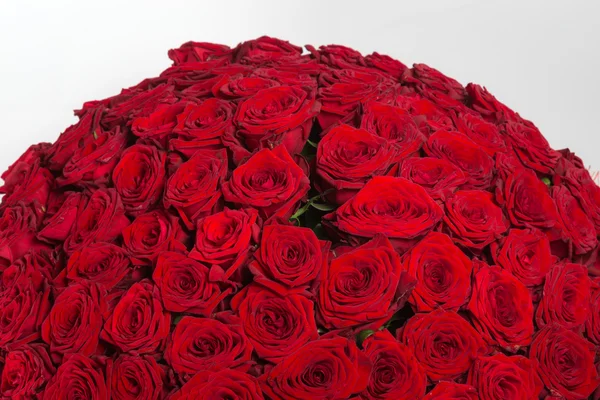 Mnóstwo czerwone róże naturalne tło — Zdjęcie stockowe