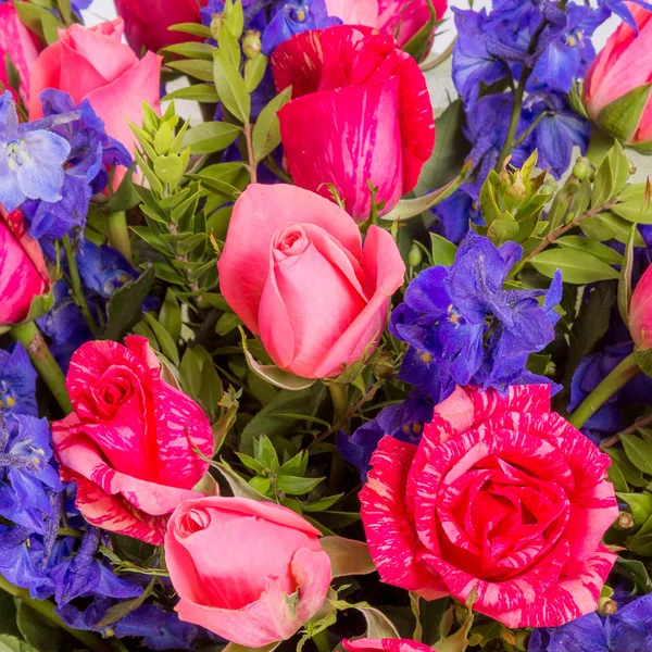 Fundo abstrato de flores. Close-up. — Fotografia de Stock