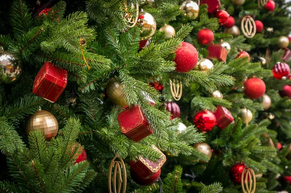 Christmas decorations on tree — Stock Photo, Image